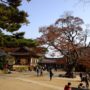 韓国の歴史好きにはたまらない！ソウルから日帰り圏内仁川にある「伝燈寺」