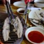 韓国グルメは肉だけじゃない！焼き魚も豪快にいただく…韓国仁川カンファ島
